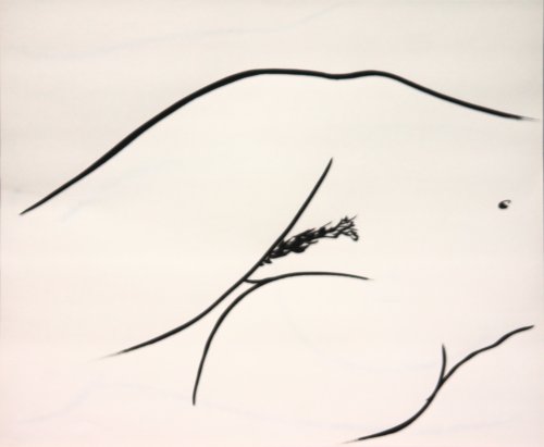 Chris Rywalt, Mia #5, 2007, ink on paper, 14x17 inches