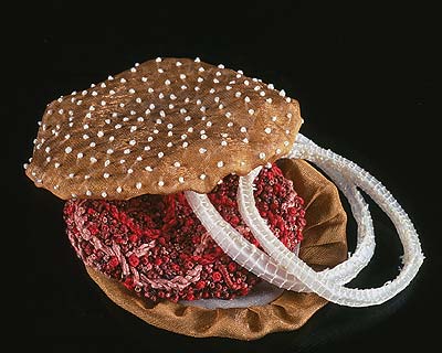 Julie Allen, Hamburger, 2005, silk, embroidery thread, liquid vinyl, 1.5x5x4.5 inches