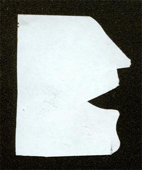 Danonymous, 2006, paper, really small