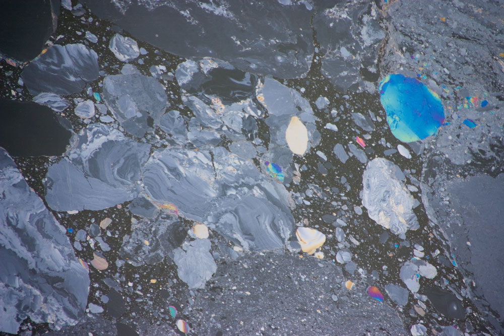 Gowanus Canal, 2009