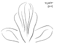 [thumbnail image]